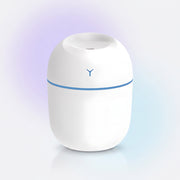 Humidifier and Aroma Diffuser